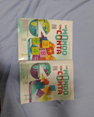 libri matematica 1 media 