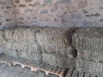 Ballette di fieno rettangolari