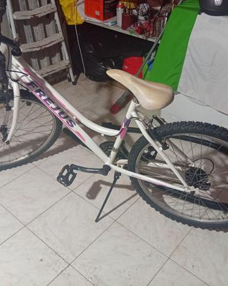 Bici ragazzina misura 24