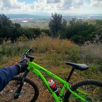 bici rockrider st 100