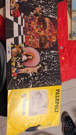 Vinile Palepoli