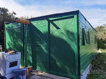 Uliveto terreno e casetta in legno