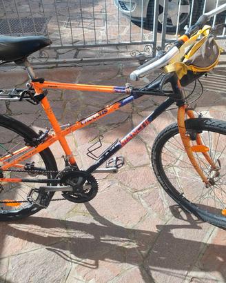 Bicicletta MTB
