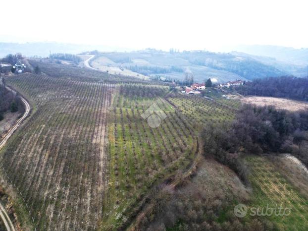 TER. AGRICOLO A LEQUIO BERRIA