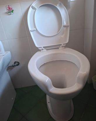 sanitari per andicap