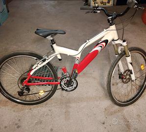 bicicletta ragazzo