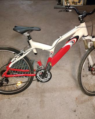 bicicletta ragazzo