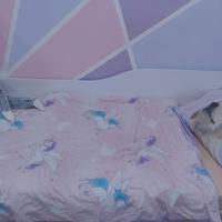 Letto singolo contenitore 