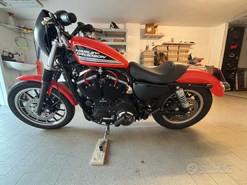 Harley Davidson 883R