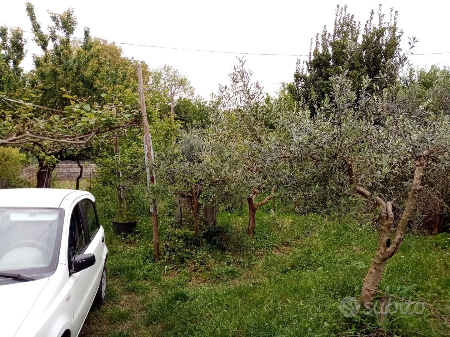 Terreno con casetta cat. A3 e pozzo - Altro