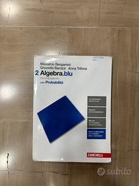 Algebra blu 2