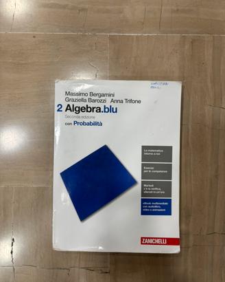 Algebra blu 2
