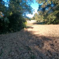 Terreno agricolo irriguo