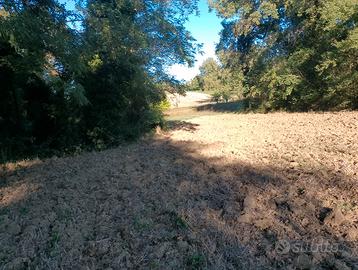 Terreno agricolo irriguo