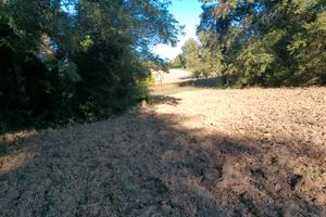 Terreno agricolo irriguo