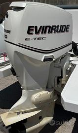 Evinrude e-tec 90 Fuoribordo