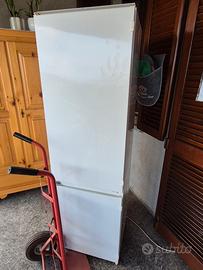frigo