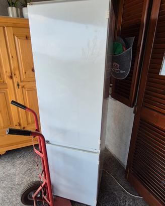 frigo