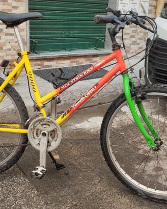 Mountain bike 24 FAUSTO COPPI