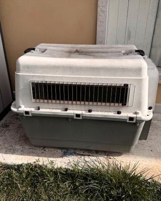 trasportino per cani