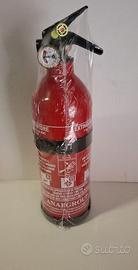 ESTINTORE  DA 1 KG PER AUTOMOBILE