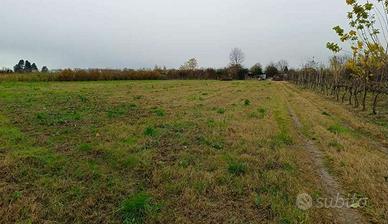 Terreno Agricolo a Marcallo con Casone