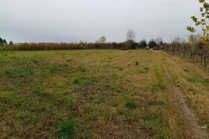 Terreno Agricolo a Marcallo con Casone