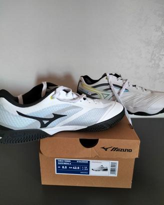 Scarpe Mizuno