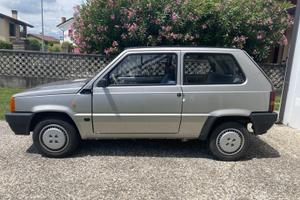 Fiat Panda Young