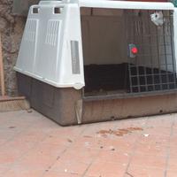 GABBIA CUCCIA TRASPORTO CANI