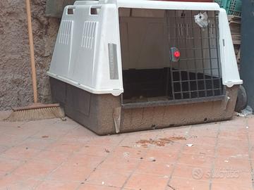 GABBIA CUCCIA TRASPORTO CANI