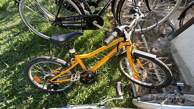 Bici city bike sportiva