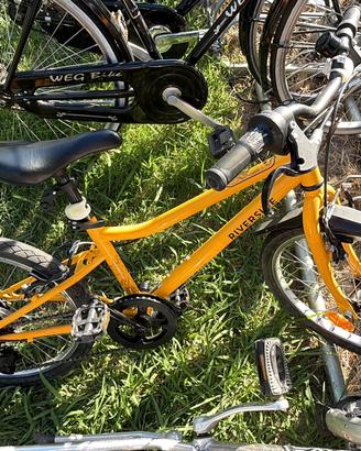 Bici city bike sportiva