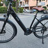 bici elettrica 