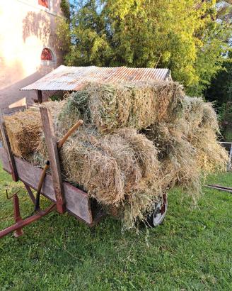 Ballette di fieno