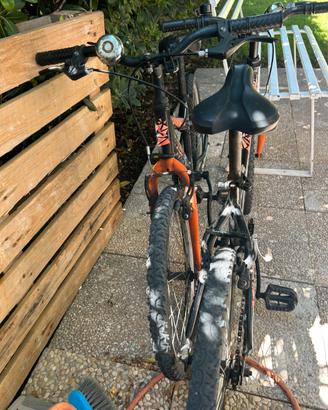 Coppia di bici per bambini