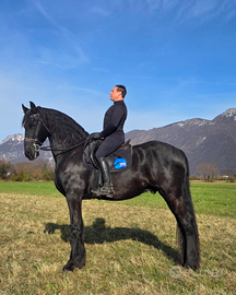 Castrone frisone per principianti