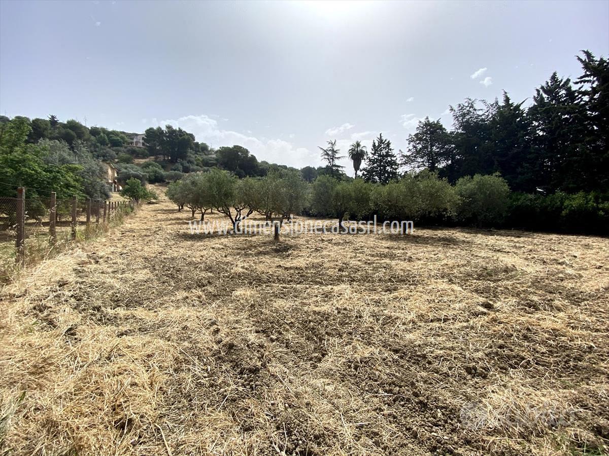 Rif.TA42-Terreno agricolo Caltanissetta - Vista 3