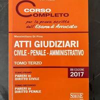 Atti giudiziari - Di Pirro - Simone