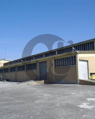 Immobile di 16000 m² con più di 5 locali a Busseto