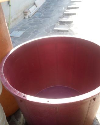 Tino per uva