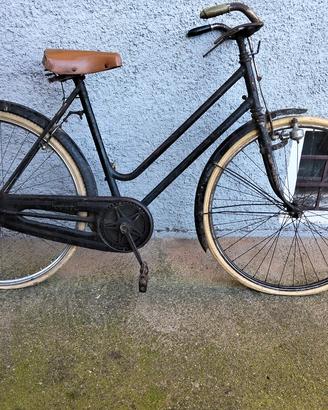 bicicletta cicli aquila