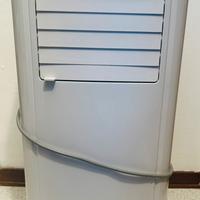 Pinguino raffreddamento e deumidificatore