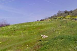 Terreno sito a Misilmeri