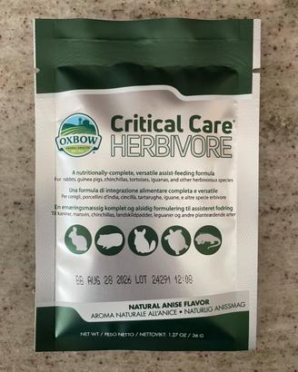 Critical Care