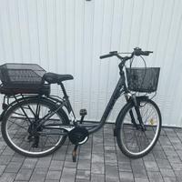 Bicicletta elettrica