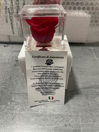 (11) Rosa statica profumata 5cm