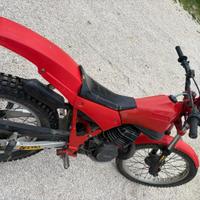 beta 250