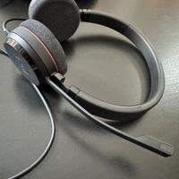 Cuffie Jabra Evolve 20 + custodia omaggio
