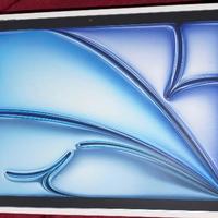 Apple IPAD AIR 11 wifi+ cellular